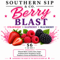 Southern Sip & Co. LLC  Berry Blast, 16oz