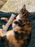 Cat nip kicker: Random