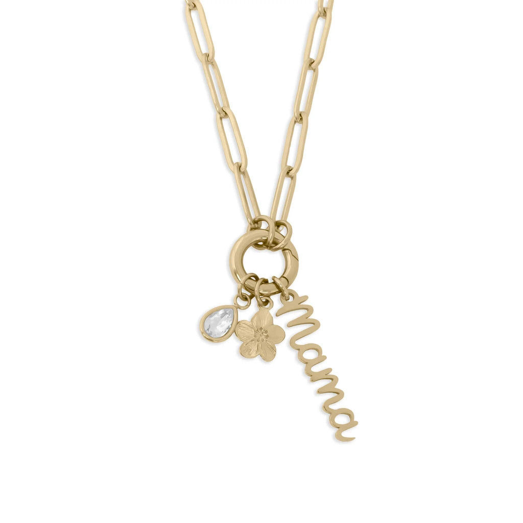 18K Gold Stainless Steel Mama Charm Holder Necklace Gift Set: Stainless
