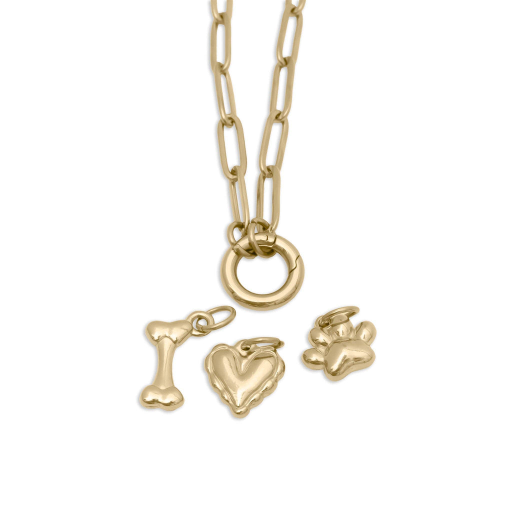 18K Gold Stainless Steel Pet Charm Holder Necklace Gift Set: Gold