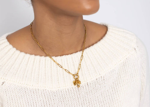 18K Gold Stainless Steel Pet Charm Holder Necklace Gift Set: Gold