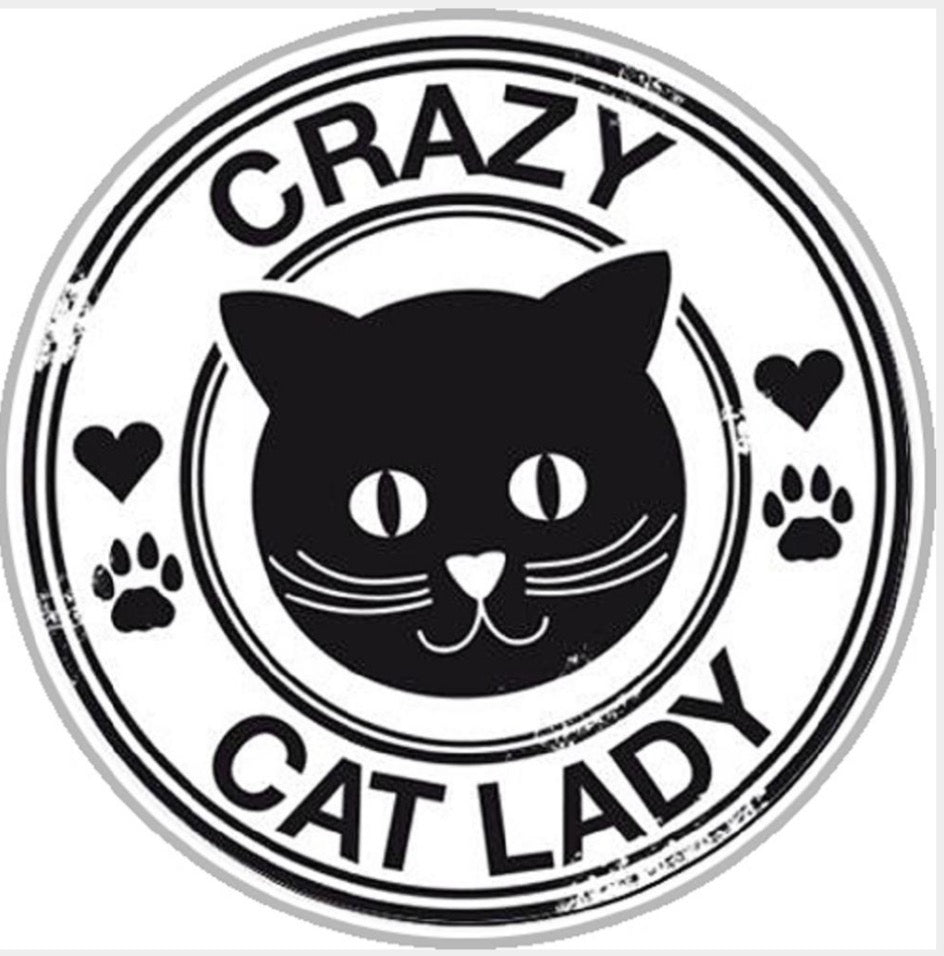 Crazy Cat Lady pet animal Ginger Snap Compatible Snap Charm 18mm