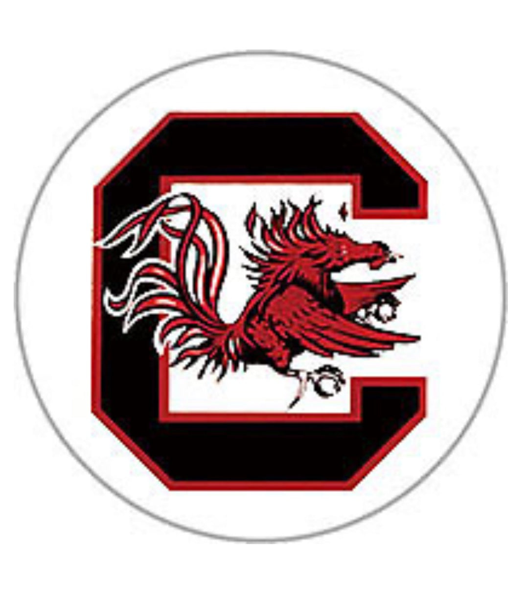 South Carolina Gamecocks Football Ginger Snap Compatible Snap Charm 18mm