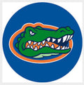 Florida Gator Football Ginger Snap Compatible Snap Charm 18mm