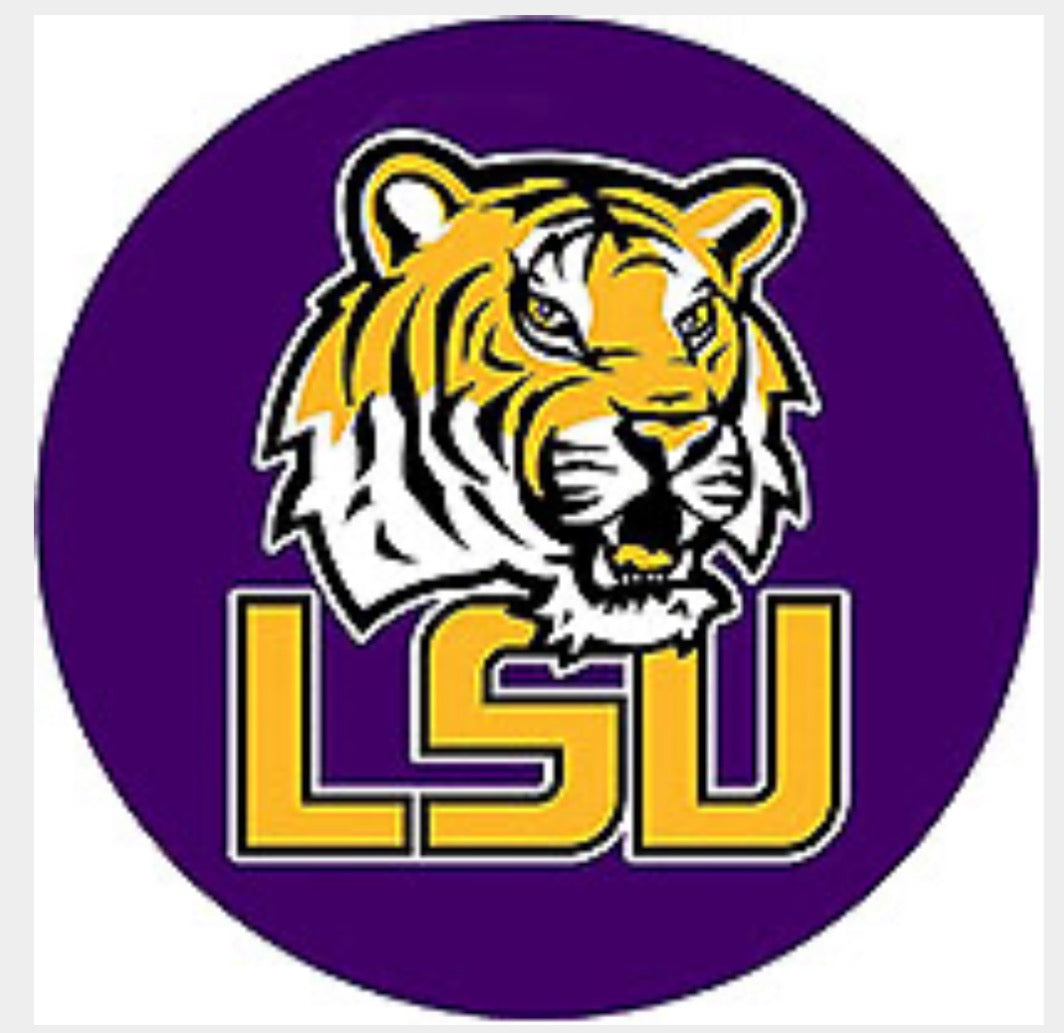 Lousiana  LSU Football Team Ginger Snap Compatible Snap Charm 18mml