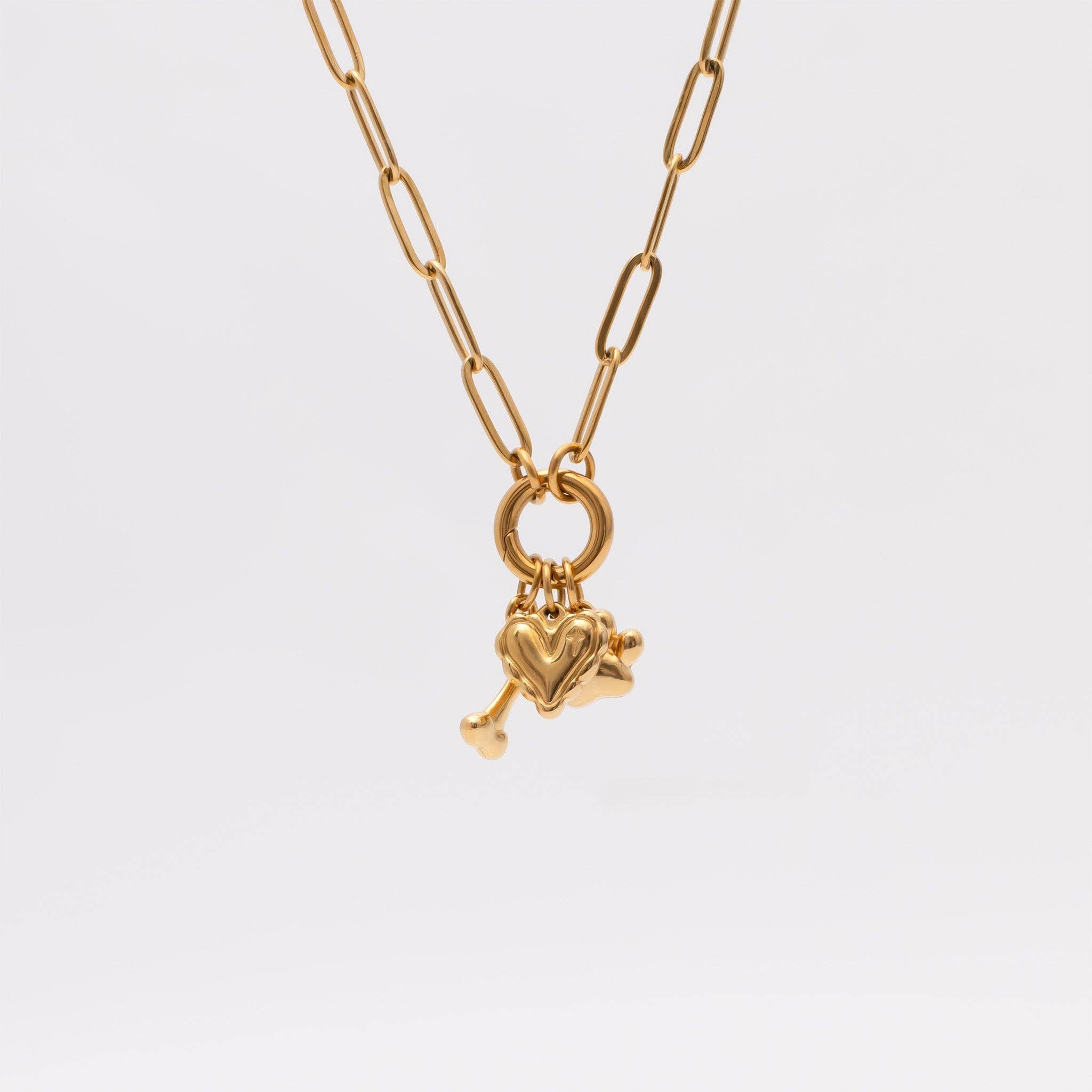 18K Gold Stainless Steel Pet Charm Holder Necklace Gift Set: Gold