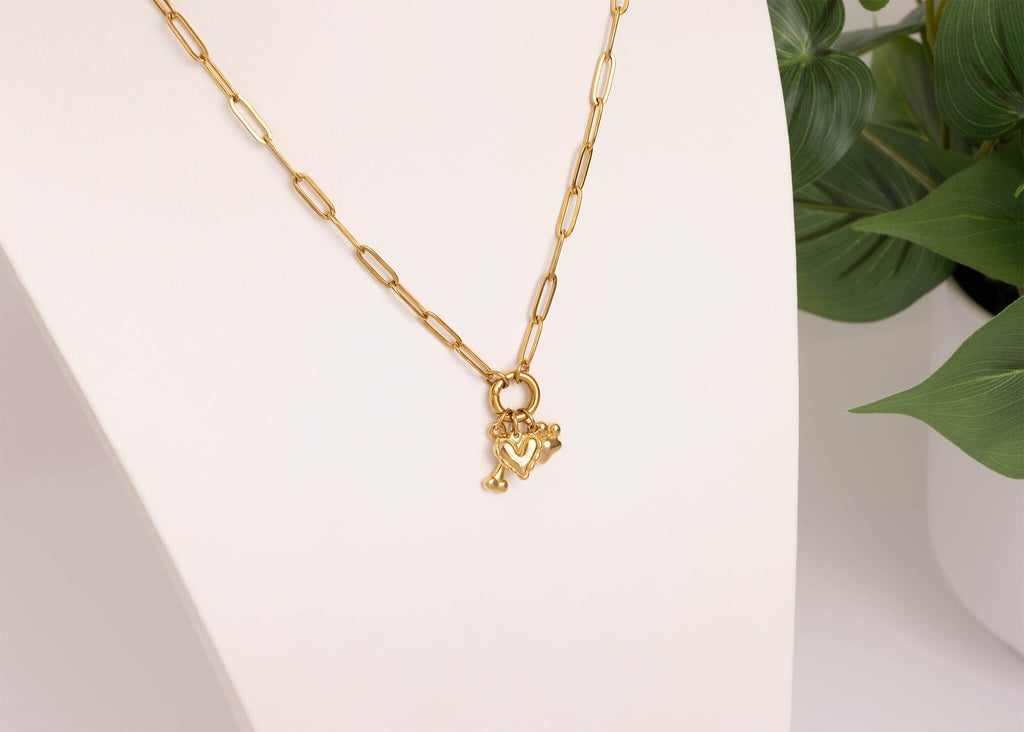 18K Gold Stainless Steel Pet Charm Holder Necklace Gift Set: Gold