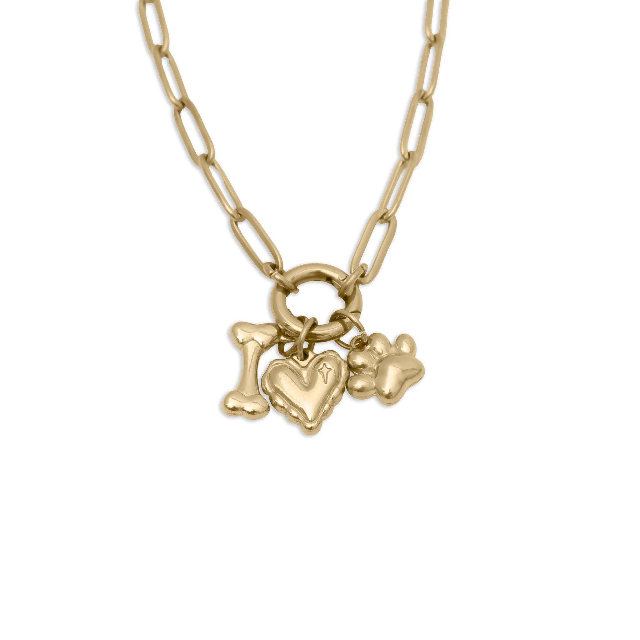 18K Gold Stainless Steel Pet Charm Holder Necklace Gift Set: Gold
