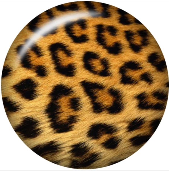 Leopard Print Ginger Snap Compatible Charm 18mm